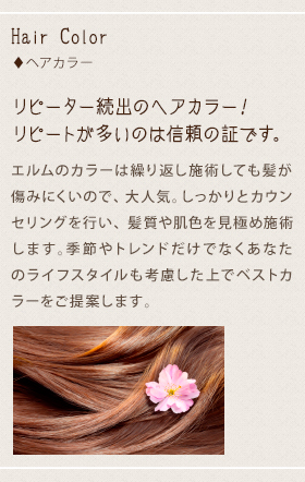 リピーター続出のヘアカラー！リピートが多いのは信頼の証です。　エルムのカラーは繰り返し施術しても髪が傷みにくいので、大人気。しっかりとカウンセリングを行い、髪質や肌色を見極め施術します。季節やトレンドだけでなくあなたのライフスタイルも考慮した上でベストカラーをご提案します。