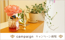 キャンペーン情報